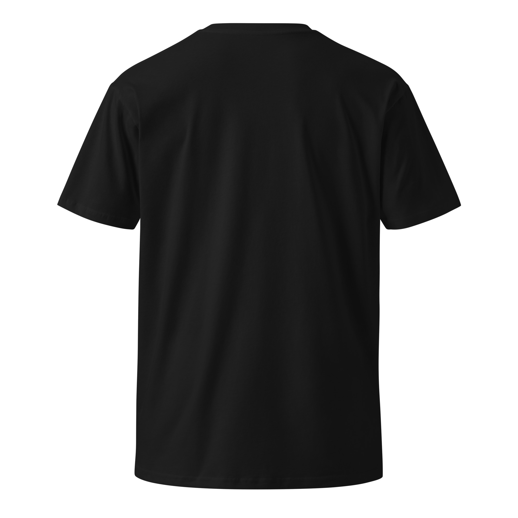 unisex-premium-t-shirt-black-back-66838adb948b7.jpg